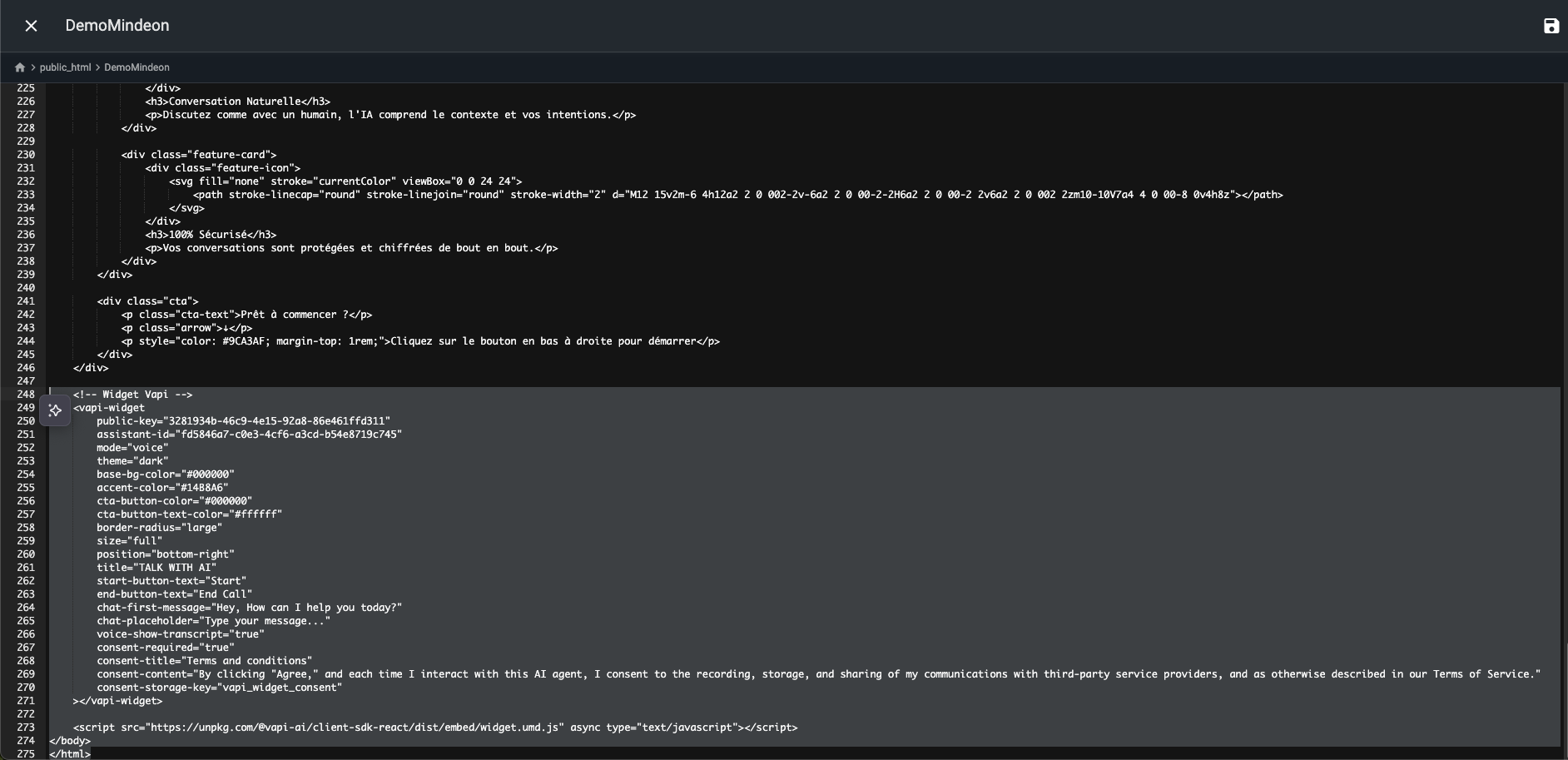 Exemple d'intégration du code VAPI
